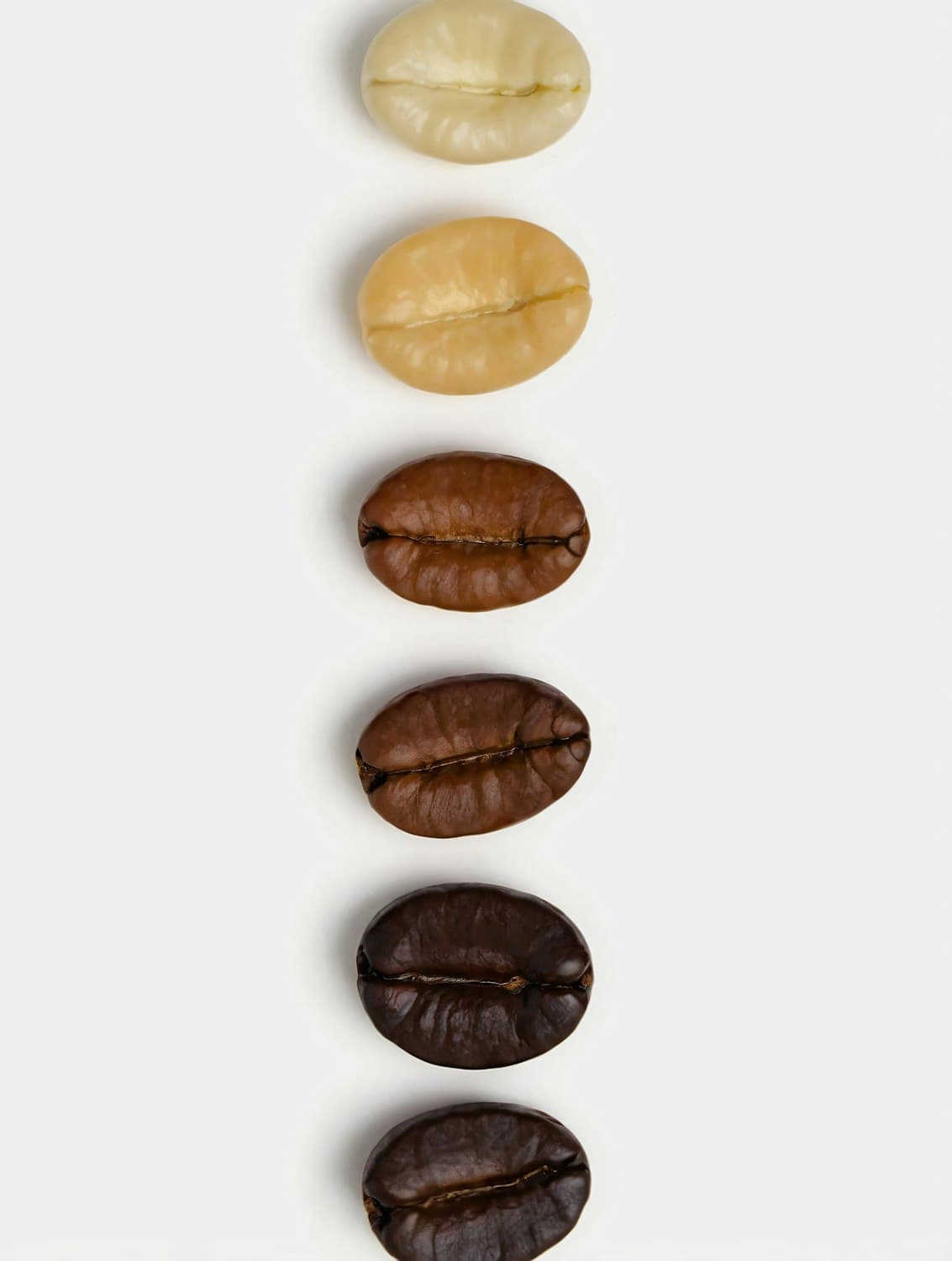 Six coffee beans in a row, from pale green to dark roasted
